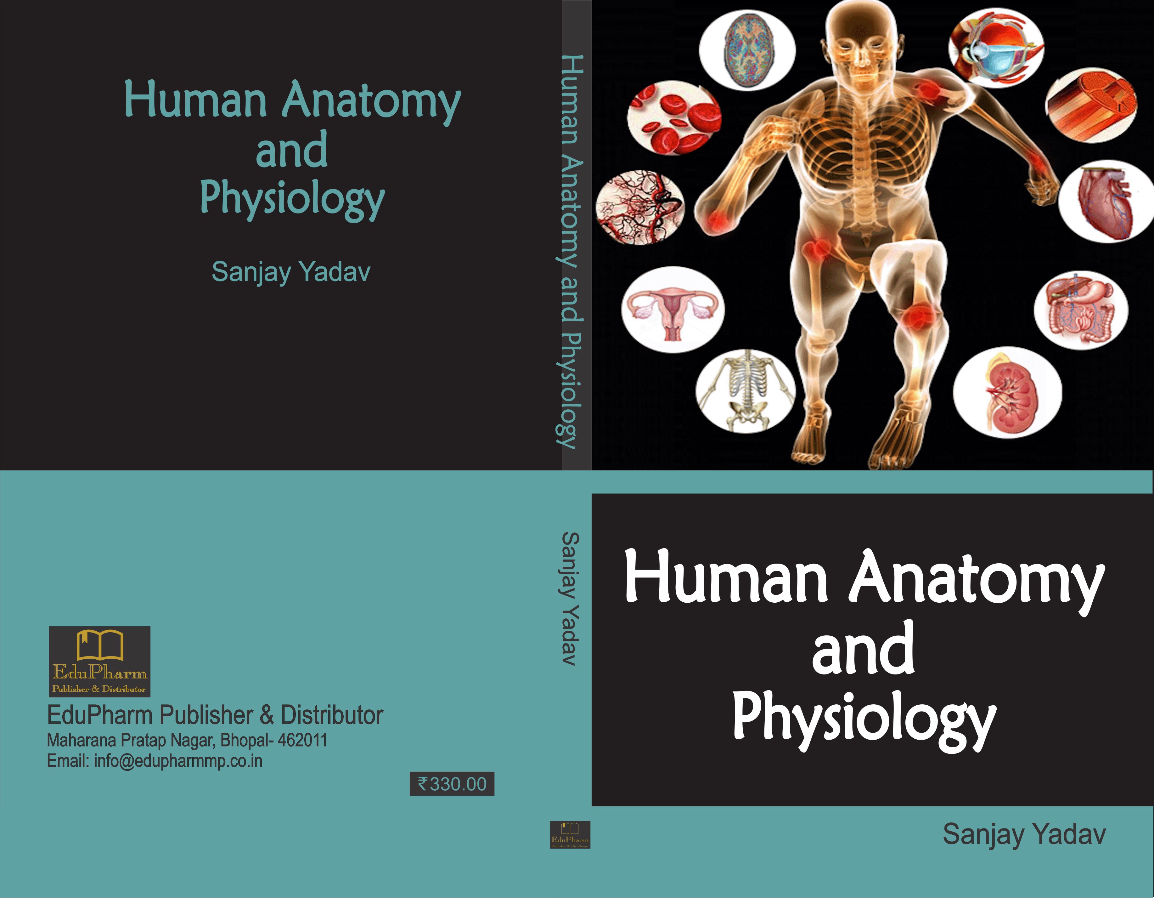 Human Anatomy & Physiology